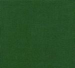 Aida 14 count Christmas Green