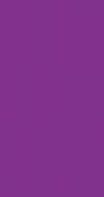 Card B6 - Double purple