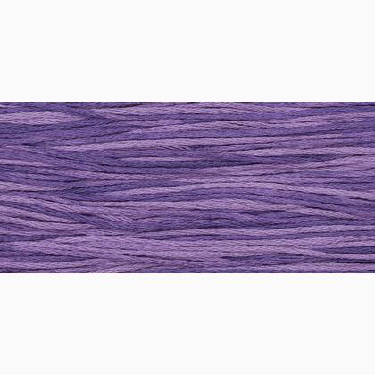 WDW 2020 Amethyst