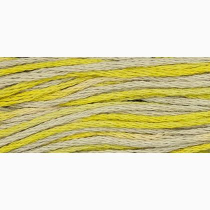 WDW 2216 Citron