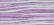 WDW 2306 Blue Aster