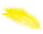 Feathers - Yellow