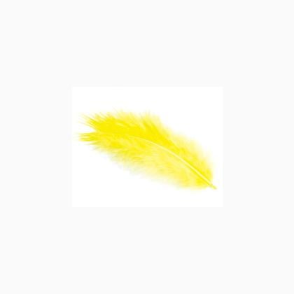 Feathers - Yellow