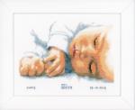 Birth sampler