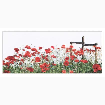Poppies