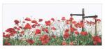 Poppies - Aida