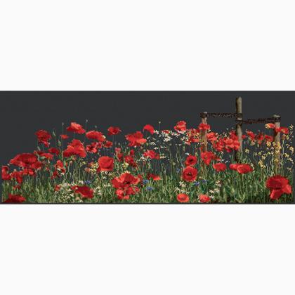 Poppies - Black