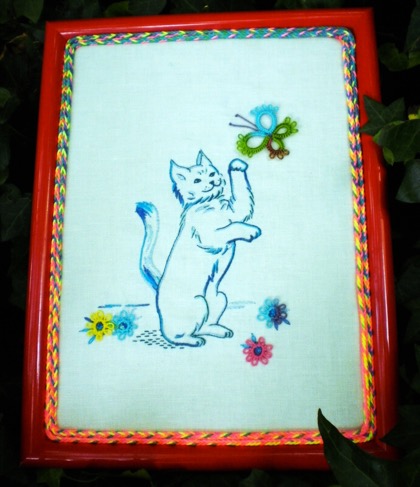 Micio azzurro