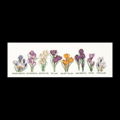 Crocus Panel
