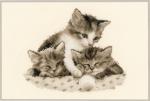 Kittens