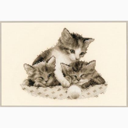 Kittens