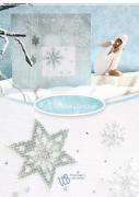 Wintersterne