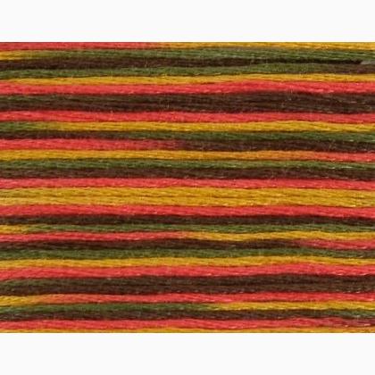 DMC Coloris - Été indien 4511