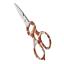 Decorated kitchen Scissors - Oranges
