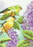 Goldfinch and Lilacs