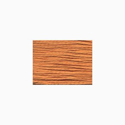 Splendor:  S1102 - Apricot