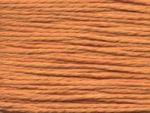 Splendor:  S1102 - Apricot