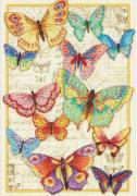 Butterfly Beauty