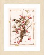 Sparrows and Currant