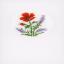 Greeting Cards: Flowers & Lavender