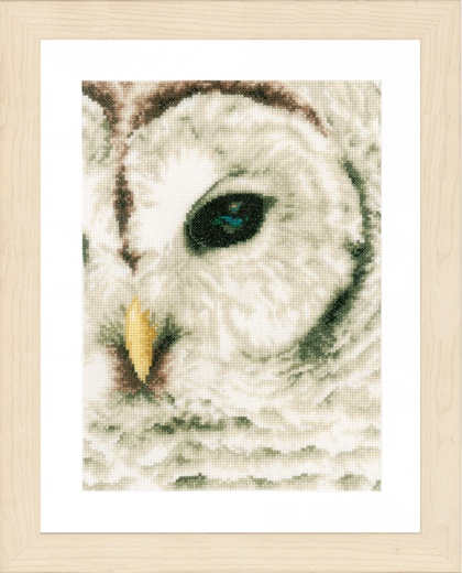 White Owl