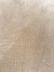 Americana Froth 36ct
