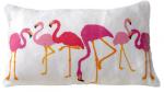 Flamingos