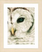 White Owl