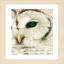 White Owl