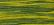 Pearl 2202 Bullfrog Green
