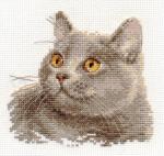 British cat