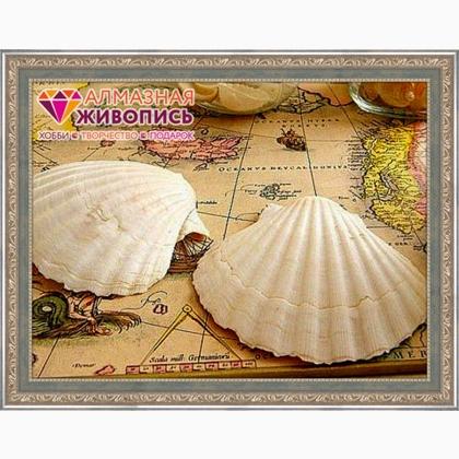 Seashells on the map