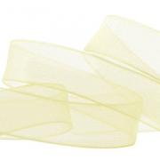 Wired Sheer Coloured Edge Ribbon 10mm - Mint
