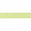 Wired Sheer Coloured Edge Ribbon 10mm - Mint