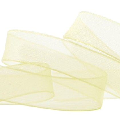 Wired Sheer Coloured Edge Ribbon 10mm - Mint