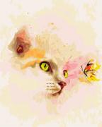 Kitten and Butterfly