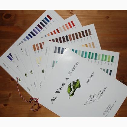 Soie D Alger Colour Chart