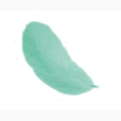 Feathers 12 cm: Green