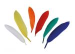 Feathers assortment