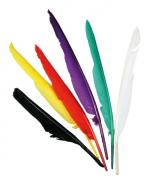 Feathers assortment - 25cm