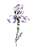 Un iris pour renaître