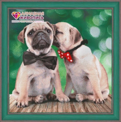 Pugs