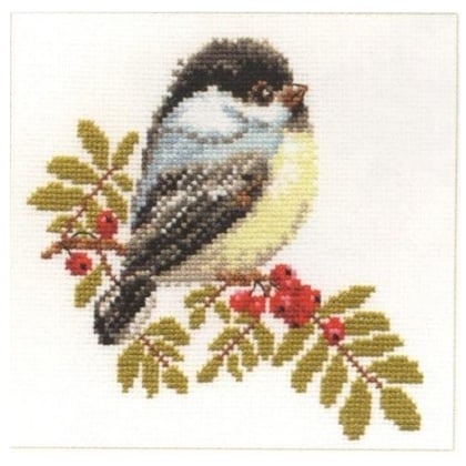 European Cat Alisa Cross Stitch Kit