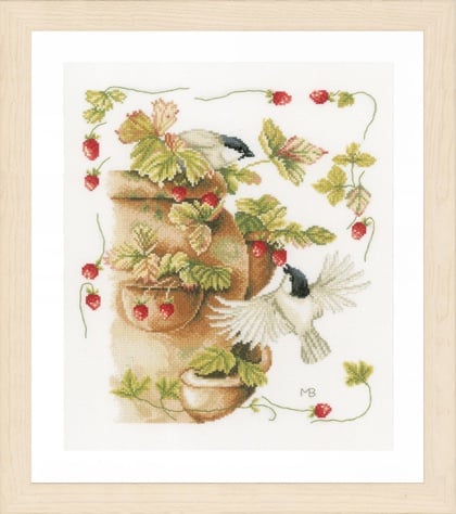 Fraises et oiseaux
