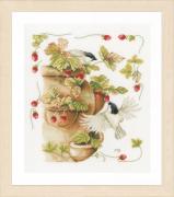 Fraises et oiseaux