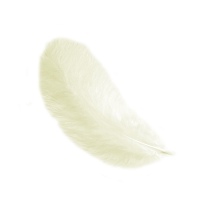 Feathers 12 cm: Light Yellow