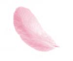 Feathers 12 cm: Pink
