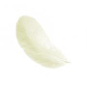 Feathers 12 cm: Light Yellow