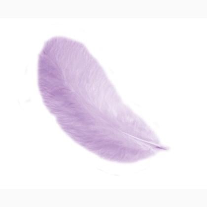 Feathers 12 cm: Lilac