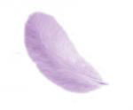 Feathers 12 cm: Lilac